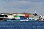 Dcim10702/DSC_4800