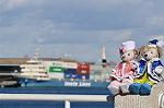 Dcim10702/DSC_4824