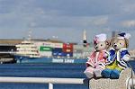Dcim10702/DSC_4825
