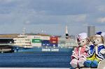 Dcim10702/DSC_4833