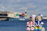 Dcim10702/DSC_4864