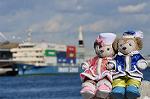 Dcim10702/DSC_4883