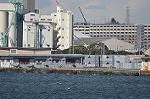Dcim10704/DSC_5033