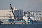 Dcim10704/DSC_5075