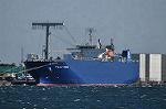 Dcim10704/DSC_5088