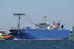 Dcim10704/DSC_5100