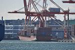 Dcim10704/DSC_5129
