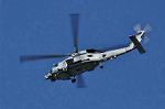 Dcim10704/DSC_5137