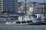 Dcim10706/DSC_5385