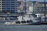 Dcim10706/DSC_5388