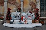 Dcim10711/DSC_6148