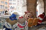 Dcim10712/DSC_6247