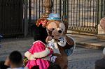 Dcim10713/DSC_6382