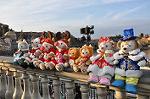 Dcim10715/DSC_6595