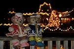 Dcim10721/DSC_7562