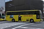 Dcim10731/DSC_8706