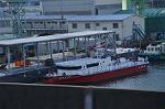 Dcim10731/DSC_8740
