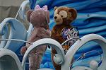 Dcim10737/DSC_9537