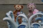 Dcim10745/DSC_0492