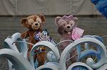 Dcim10745/DSC_0497