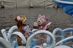 Dcim10746/DSC_0564