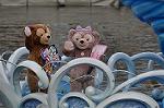 Dcim10746/DSC_0565