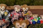 Dcim10751/DSC_1236