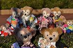 Dcim10751/DSC_1237