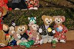 Dcim10751/DSC_1244