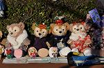 Dcim10751/DSC_1249