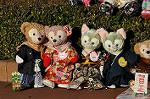 Dcim10751/DSC_1255