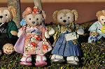 Dcim10751/DSC_1256