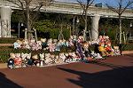 Dcim10751/DSC_1278