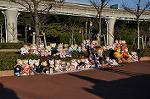 Dcim10751/DSC_1279
