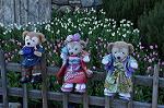 Dcim10760/DSC_2410