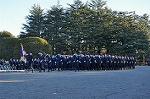 Dcim10769/DSC_3328