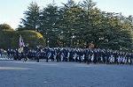 Dcim10769/DSC_3345
