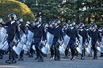 Dcim10769/DSC_3361