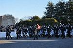 Dcim10769/DSC_3369