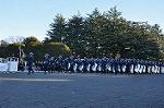 Dcim10769/DSC_3379