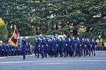 Dcim10770/DSC_3412