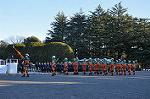 Dcim10770/DSC_3440
