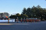 Dcim10770/DSC_3443