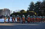 Dcim10770/DSC_3446