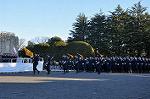 Dcim10770/DSC_3484