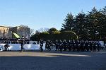 Dcim10771/DSC_3531