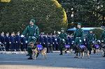 Dcim10771/DSC_3551