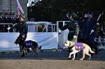 Dcim10771/DSC_3556