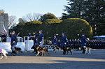 Dcim10771/DSC_3557