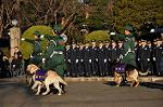 Dcim10771/DSC_3562